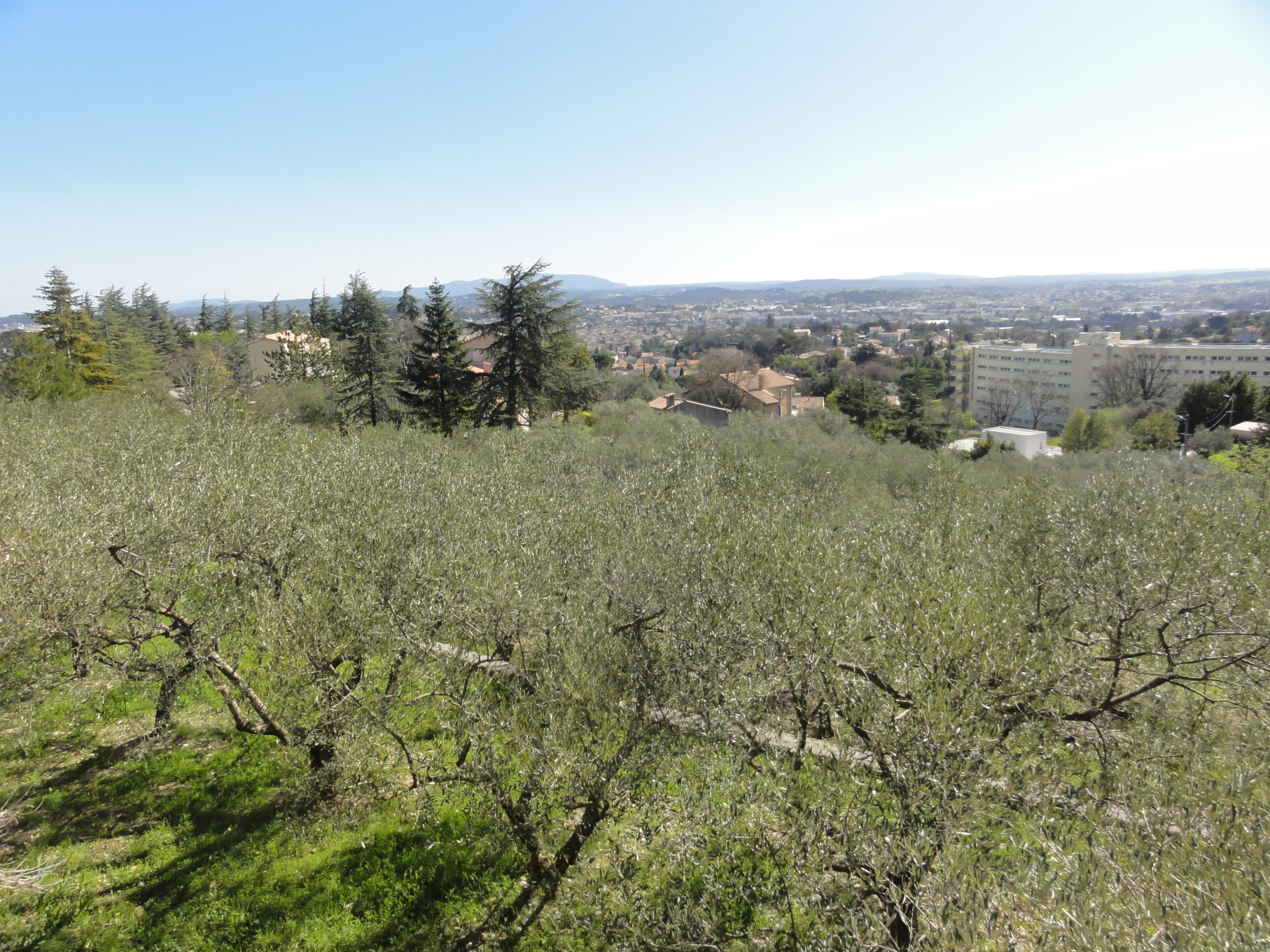 Alès , Haut Bresis, terrain constructible